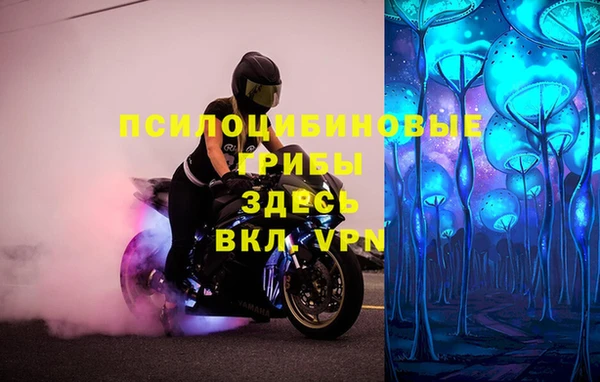 mdpv Гусиноозёрск