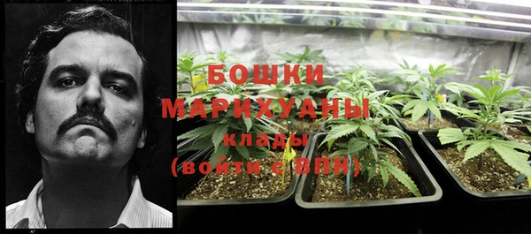 mix Гусев