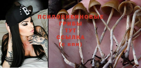 mix Гусев