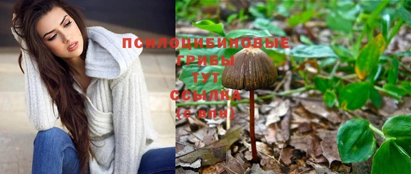 mdpv Гусиноозёрск