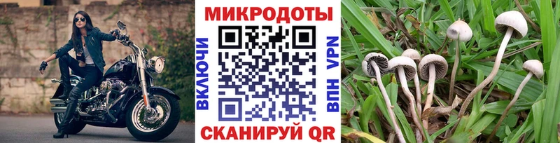 Псилоцибиновые грибы прущие грибы Дюртюли