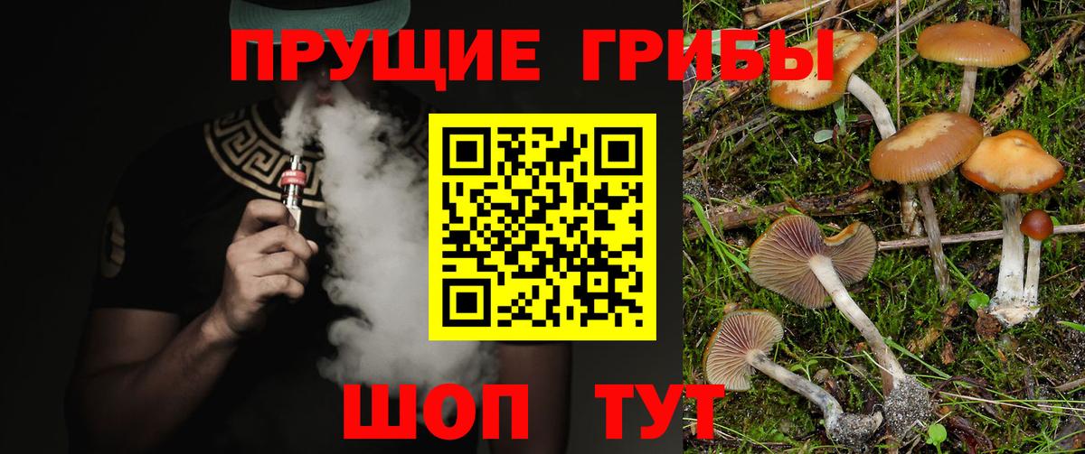 где купить наркоту  Псилоцибиновые грибы Psilocybine cubensis  Вход с VPN  Дюртюли 